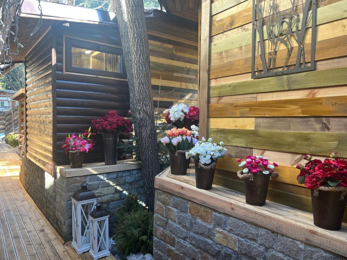 Moura & Villas Borovets Mountain Relax Spa Hotel Bagian luar foto